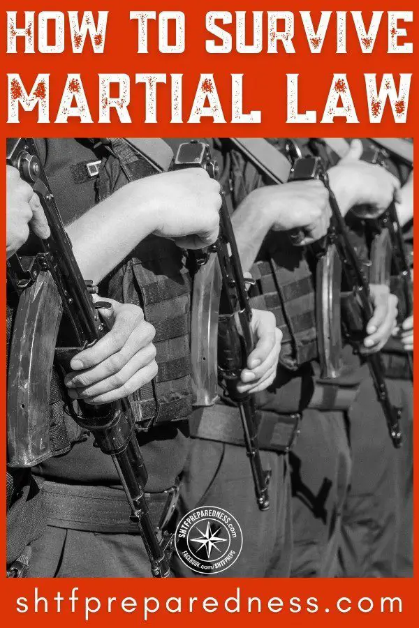 how to survive martial law pin