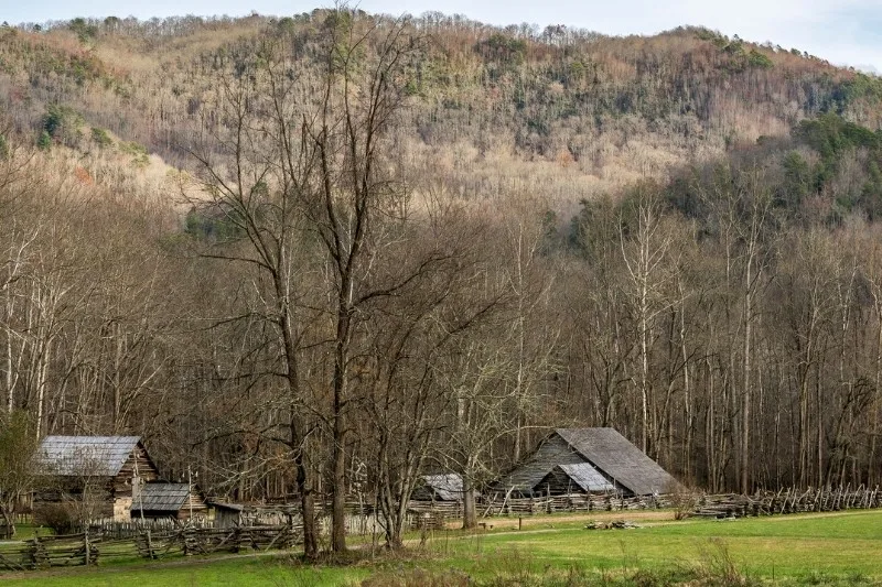 North Carolina: #5 best state for homesteading