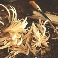bushcraft skills feather sticks