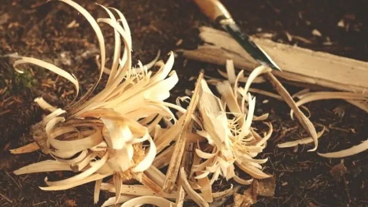 Essential Bushcraft Skills Guide