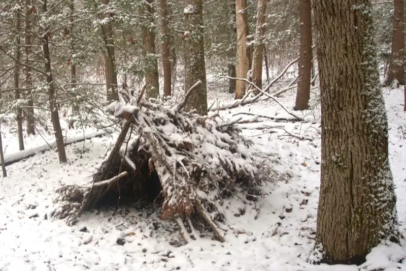 lean to shelter that is easy to set up