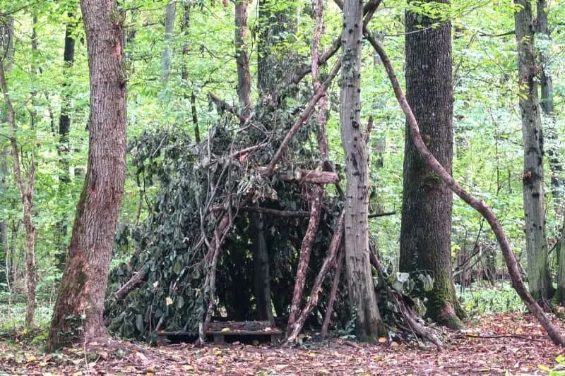 example of a lean to shelter