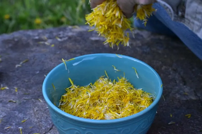 dandelion petals in a bowl