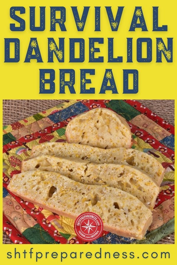 survival dandelion bread