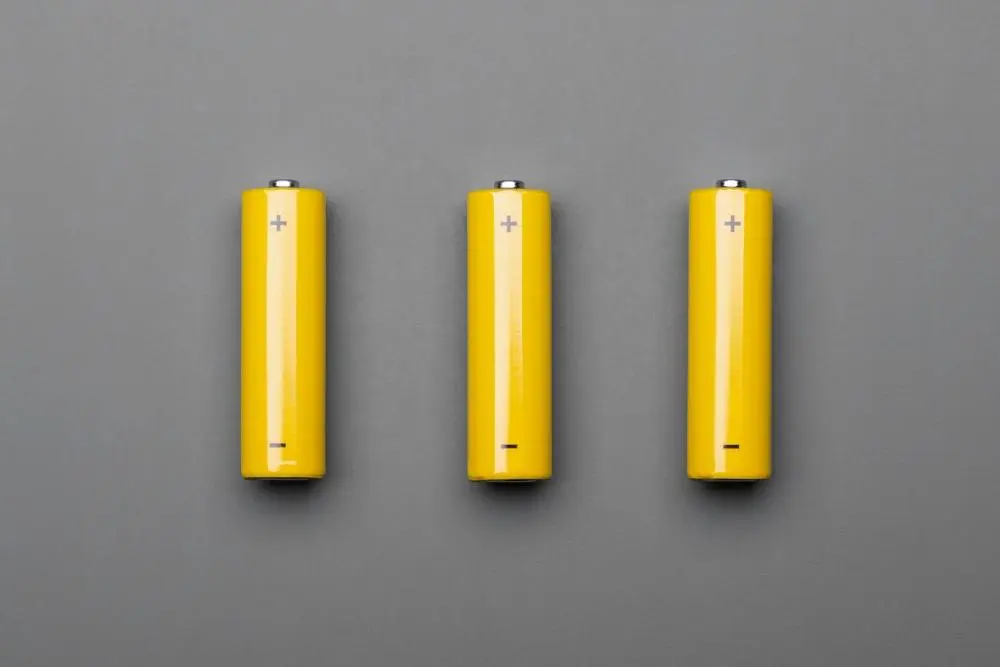 How To Recharge Alkaline Batteries Safely And Without Any Leaks 11 Alkaline Batteries