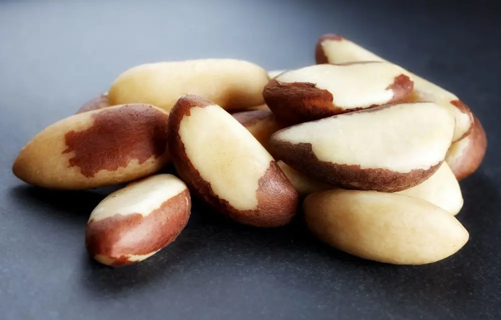 Do Nuts Go Bad? Are Expired Nuts Safe to Eat? 2 Are Expired Nuts Safe to Eat