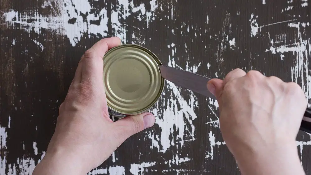 How To Open a Can Without a Can Opener — 9 Different Ways