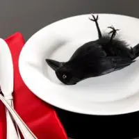 Is It Possible To Eat Crow? Everything You Need To Know