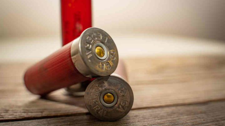 Is It Worth It To Reload Your Own Shotgun Shells?