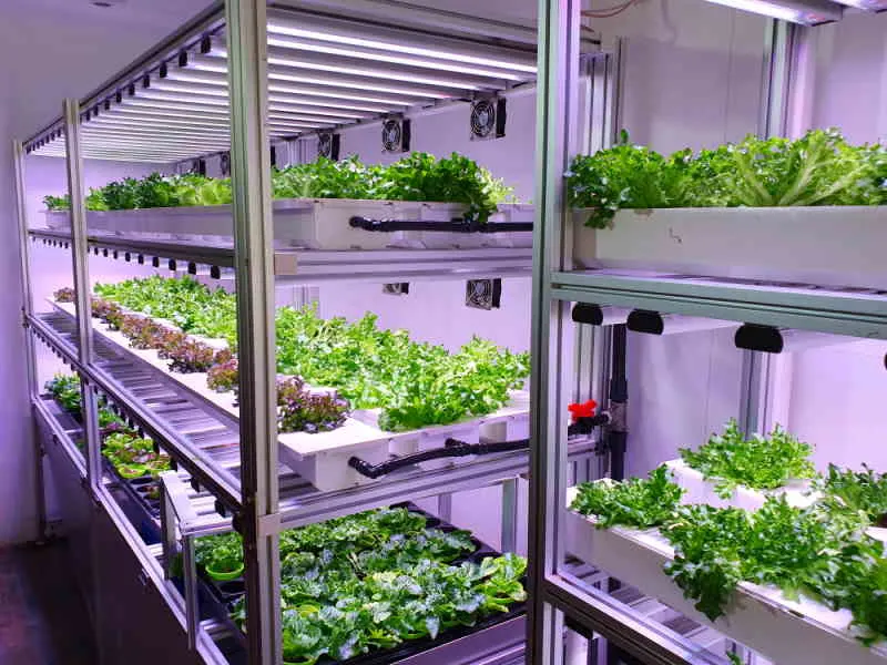 Sustainable indoor gardening