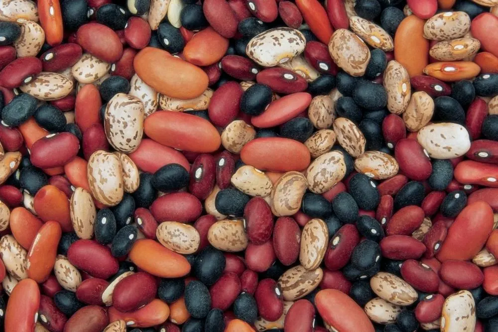 Tips for Dealing With Hard Dry beans