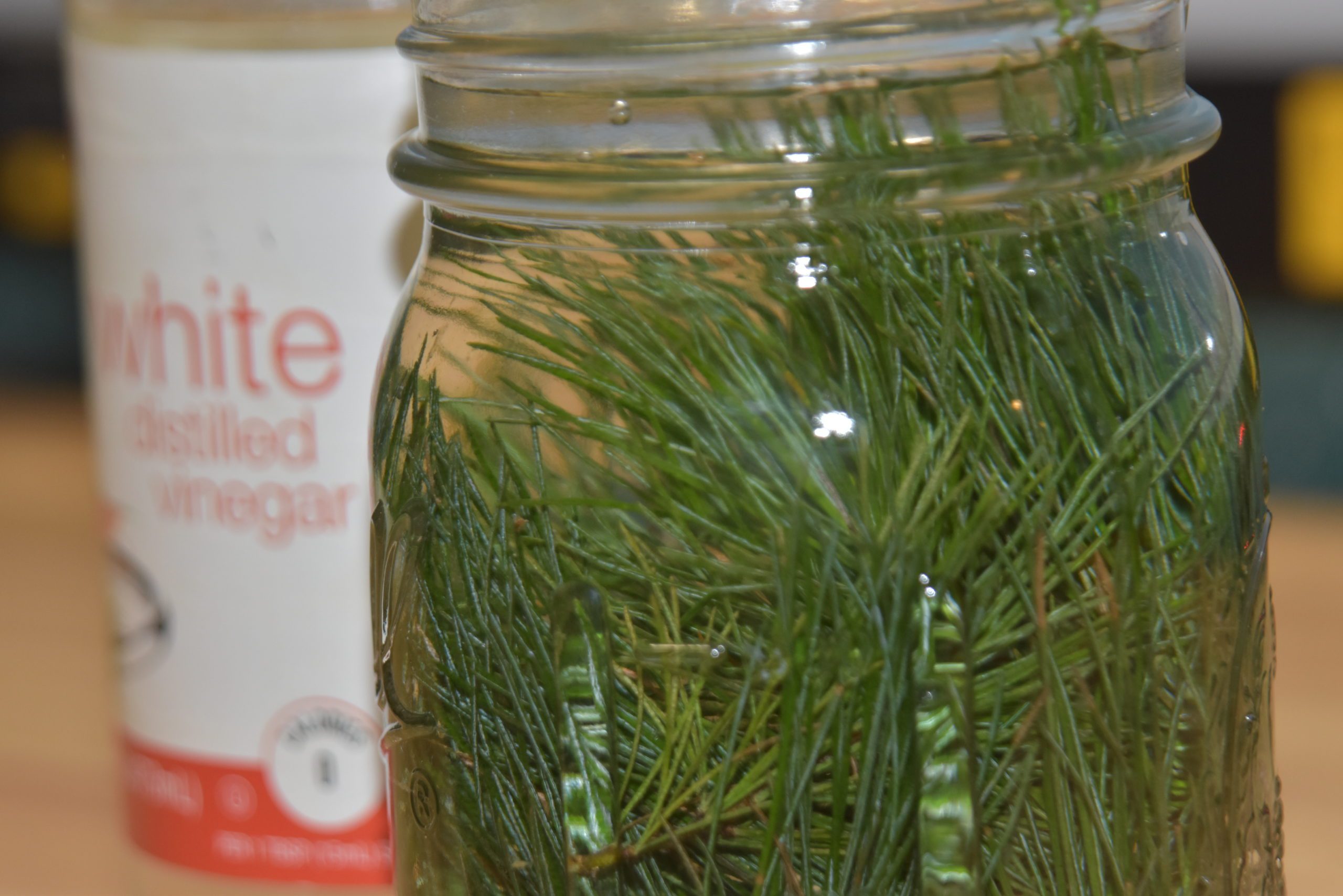 evergreen scented vinegar