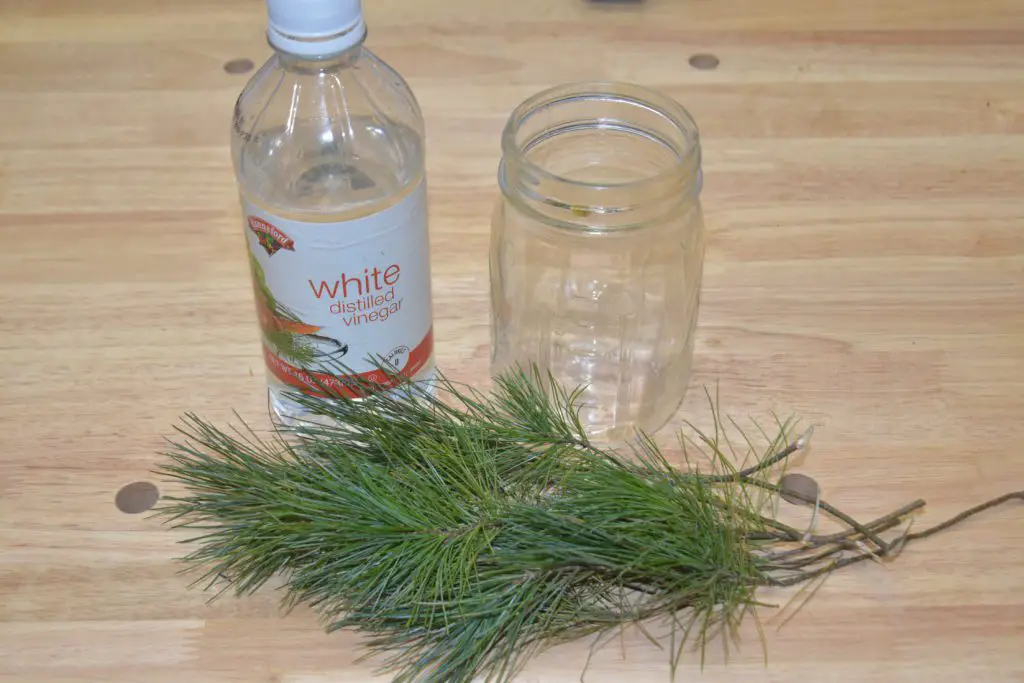 How To Make Evergreen Scented Vinegar For Cleaning