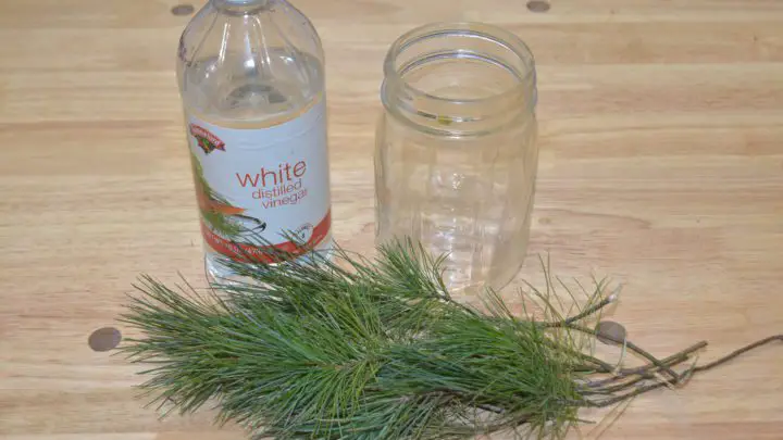 How To Make Evergreen Scented Vinegar For Cleaning