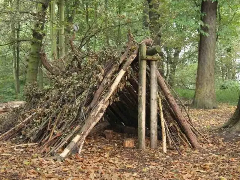 A Frame Mountain Survival Structure