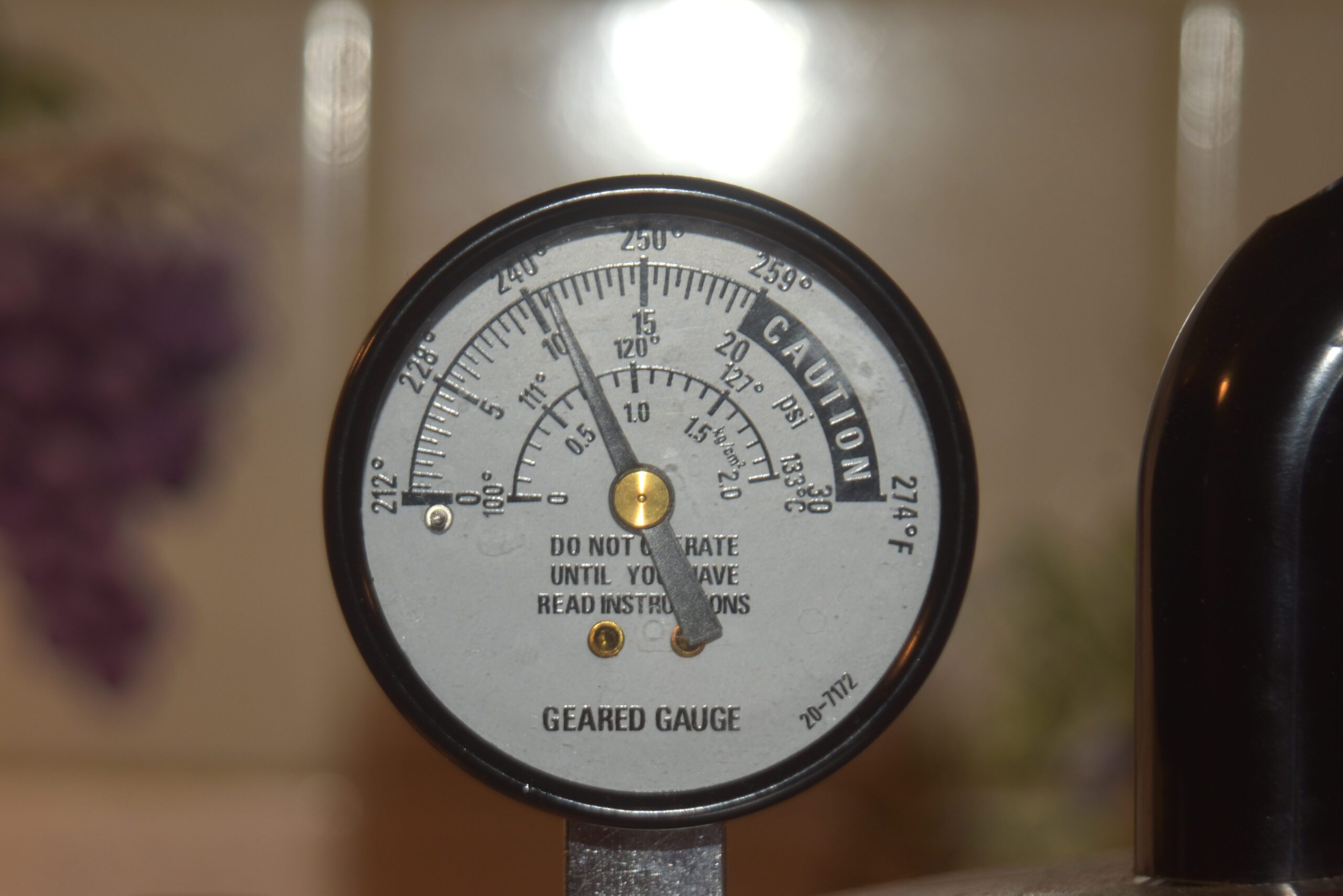 How To Pressure Can Chicken Stock (Recipe) 12 MIGrey 20220427 PressureCanningChickenStock TempGauge scaled