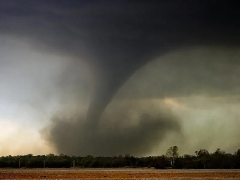 Tornado or Twister