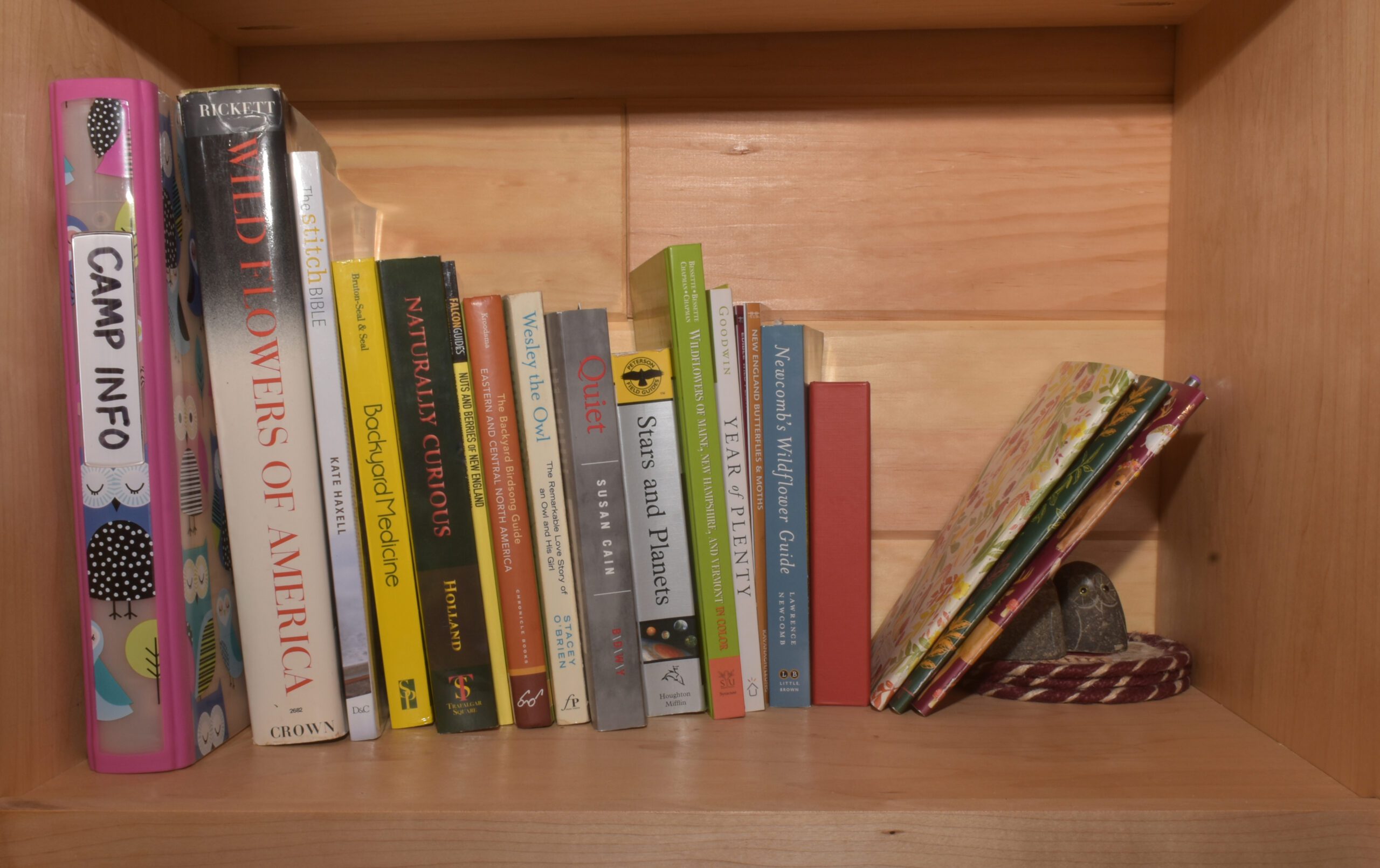 The Essentials for Stocking Up Your Bug Out Location 10 MiGrey 20220519 StockingCabin Library scaled