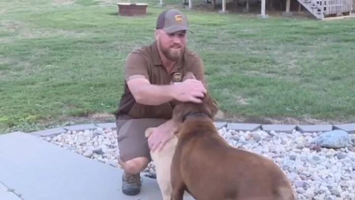 UPS driver rescues 2 dogs from swimming pool while owners were away: ‘I would say that he is a hero’