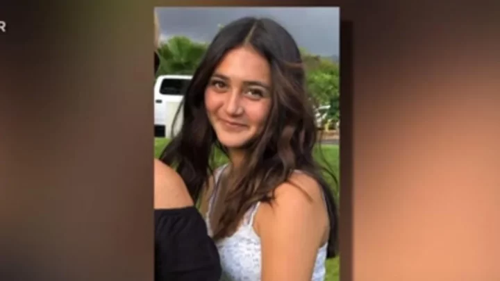 ‘Heroes … ripped her from her abductor’: Amber Alert proves instrumental in rescuing teenager reportedly kidnapped on Hawaii beach