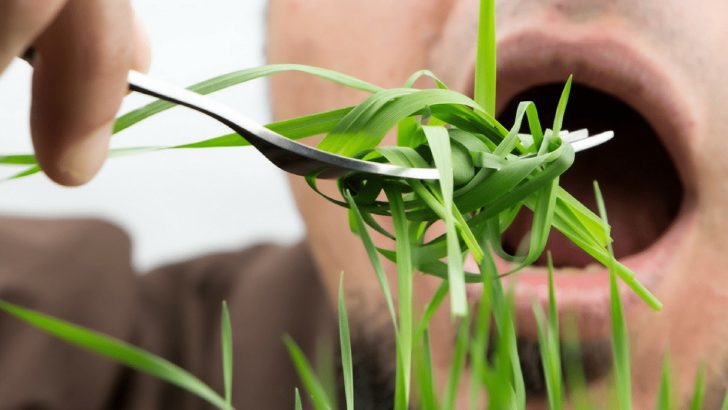 Can Humans Eat Grass? Here’s What You Need to Know