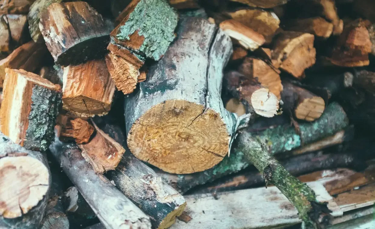 First step in how to make charcoal is to gather materials