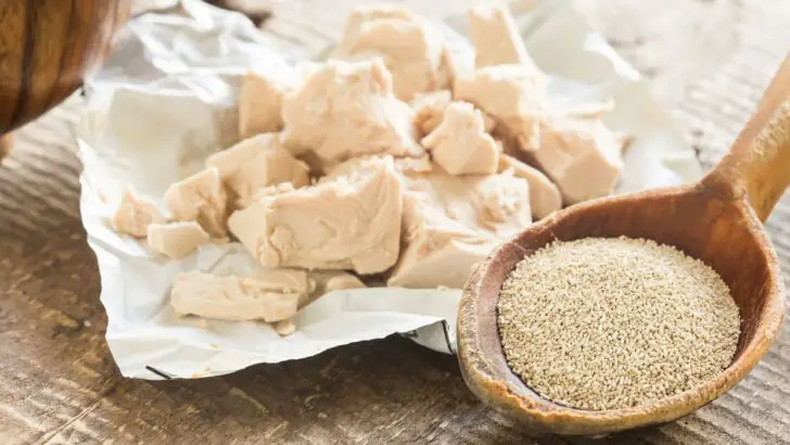 How Long Does Yeast Last? Know the Shelf Life of Yeast