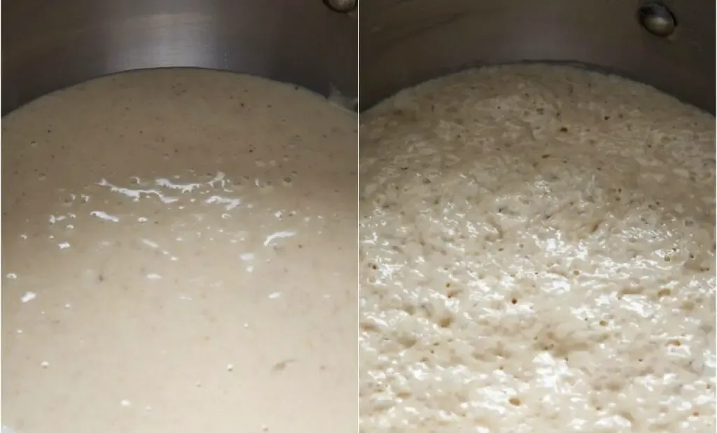 How Long Does Yeast Last? Know the Shelf Life of Yeast 2 Risk of using expired yeast