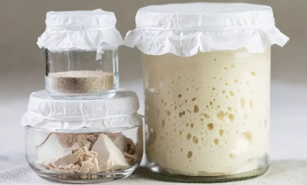 Yeast stored in airtight jars