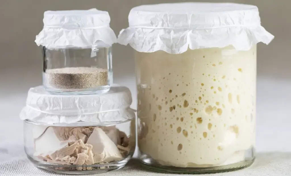 How Long Does Yeast Last? Know the Shelf Life of Yeast 4 Yeast stored in airtight jars