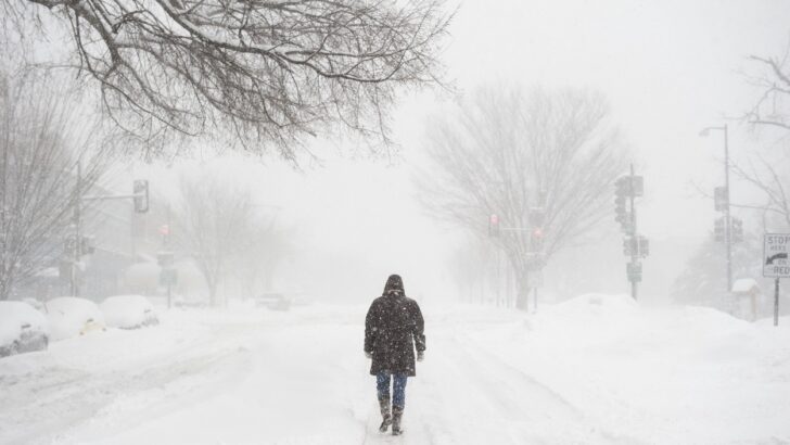 How to Prepare for a Blizzard: Surviving the Snowstorm