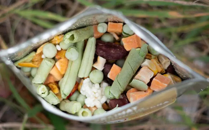 How to Freeze Dry Food: Save Money and Reduce Waste 6 Freeze dried at home