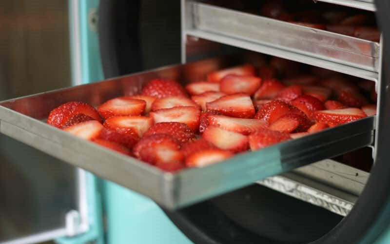 How to Freeze Dry Food: Save Money and Reduce Waste 4 Process of freeze drying