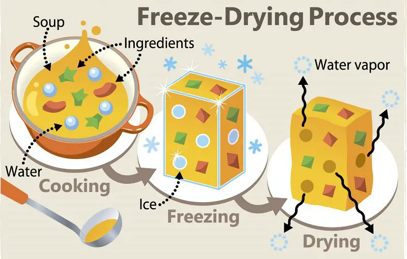 Freeze drying food