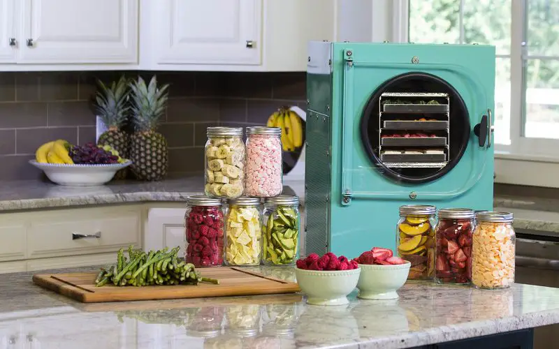 How to Freeze Dry Food: Save Money and Reduce Waste 5 Freeze dryer for home use