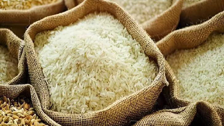 How to Store Rice Long Term: Tips & Tricks You Need to Know