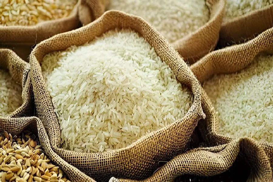 How to Store Rice Long Term: Tips & Tricks You Need to Know