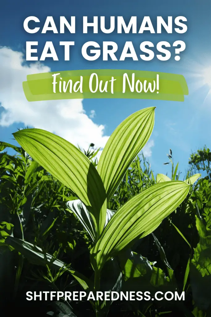 Can Humans Eat Grass? Here's What You Need to Know 5 Can Humans Eat Grass? Here's What You Need to Know
