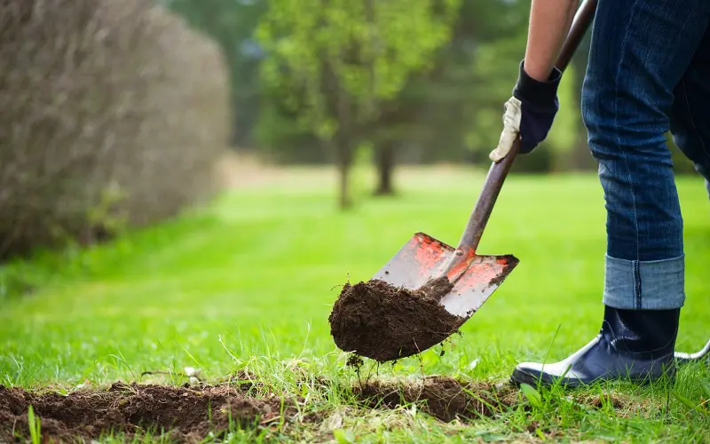 digging land for greenhouse