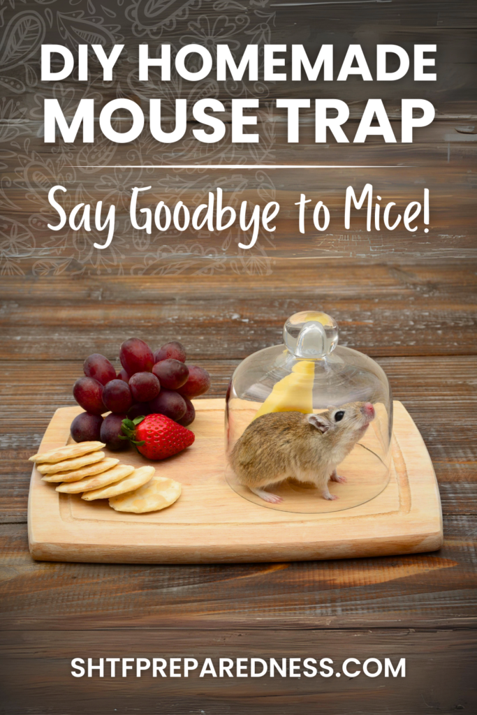 DIY Homemade Mouse Trap - Say Goodbye to Mice