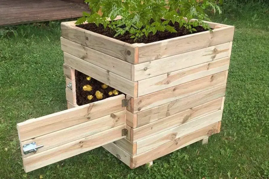 How To Build A Potato Box: A Step-By-Step Guide