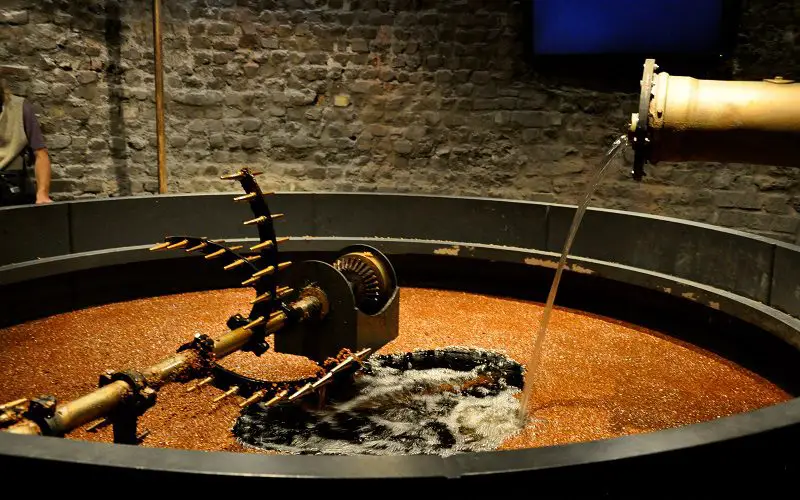 fermentation of whiskey