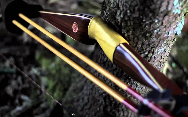 How to Start Bow Hunting: Essential Skills and Strategies 3 hunting bow