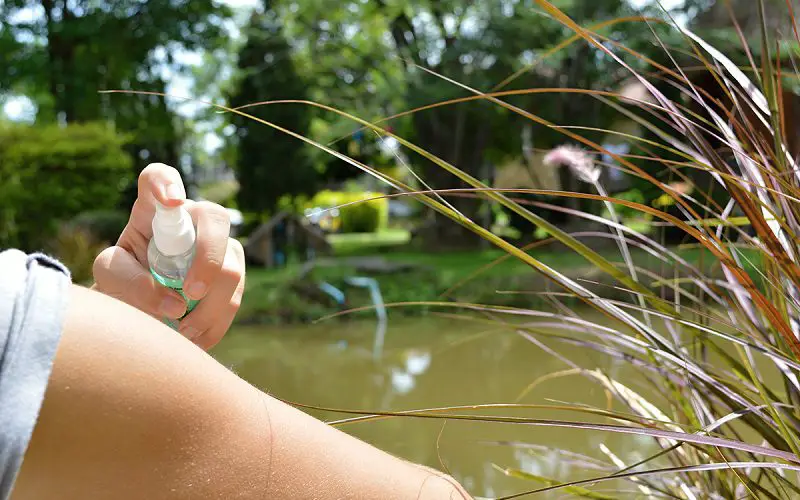 10 Hiking Tips for Beginners: Start Your Adventure Right 4 using an insect repellent