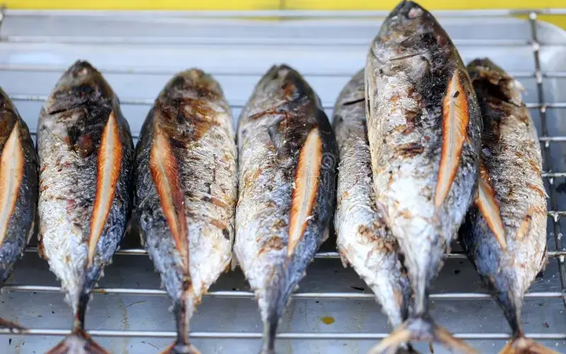 bonito fish grilled