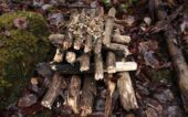 Pyramid Fire Layout 8 Types of Campfires: How to Build Them Properly