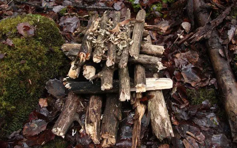 pyramid campfire