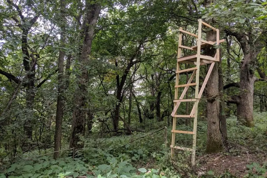 DIY Deer Blind Plans for Successful and Comfortable Hunts