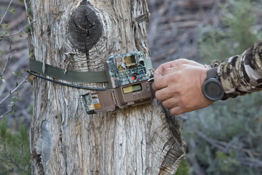 What are Wireless Trail Cameras, and Where Can You Use Them?
