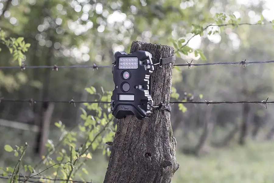 Trail Cameras Guide